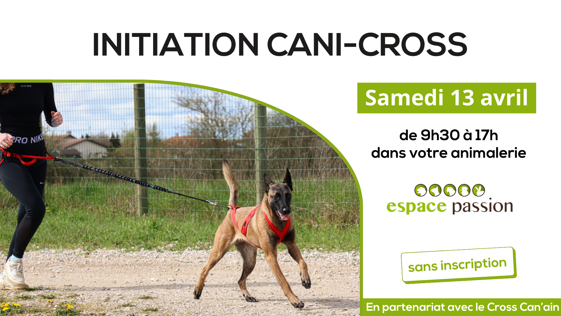 <span>Actualité </span>Initiation au cani-cross