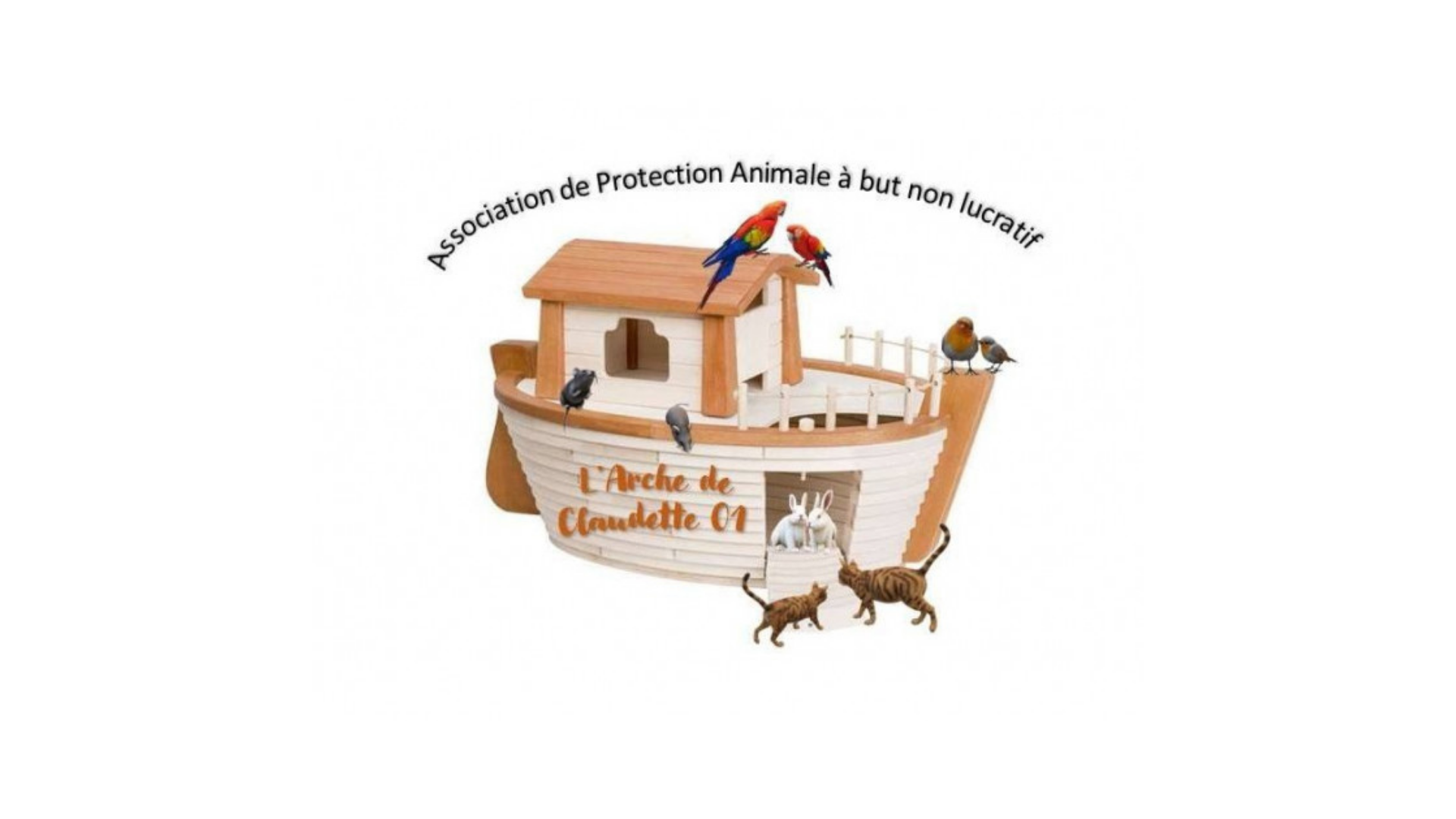 <span>Actualité</span>L'arche de Claudette